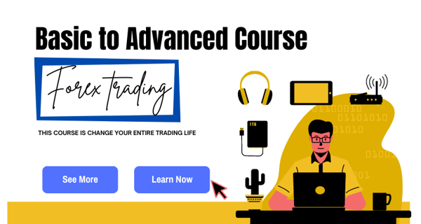 Fully Basics to Advanced Level of Forex trading