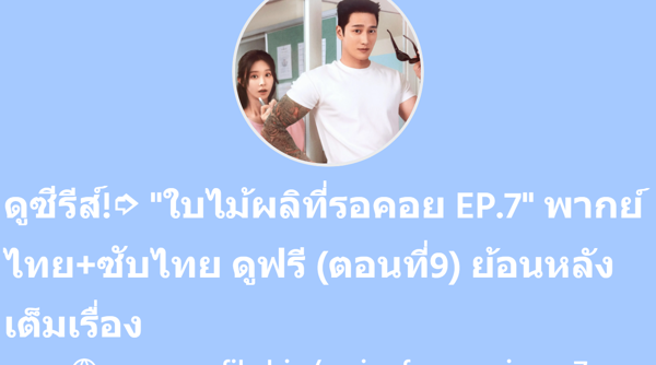 superprofile.bio